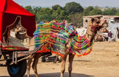 Golden Triangle Tour with Pushkar